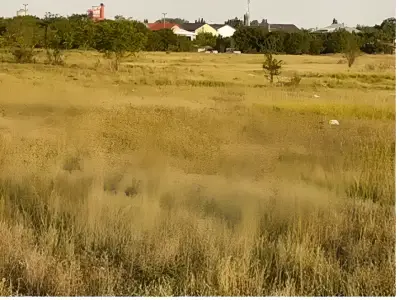 Teren intravilan de vanzare Sector 4 Bucuresti vedere oras
